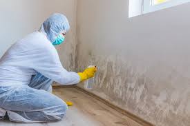 Best Industrial Mold Remediation  in St Georges, DE